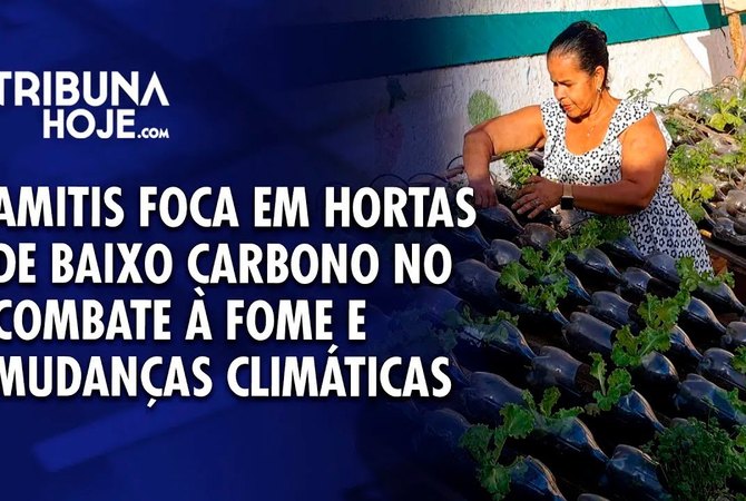 Amitis foca em hortas de baixo carbono no combate à fome