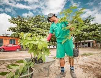 Prefitura de Maceió alerta para furtos de plantas em espaços públicos