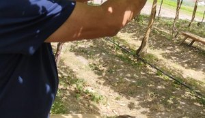 DO SERTÃO À TAÇA, TANQUE D’ARCA BUSCA INOVAÇÃO NA VITIVINICULTURA E FORTALECE PROJETO DE DESENVOLVIMENTO DA TRÍPLICE DIVISA