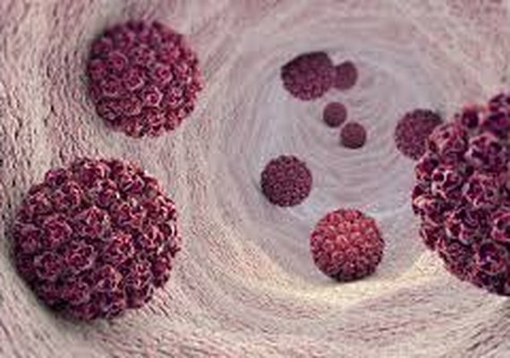 HPV: o vírus é o principal responsável pelo câncer de colo de útero