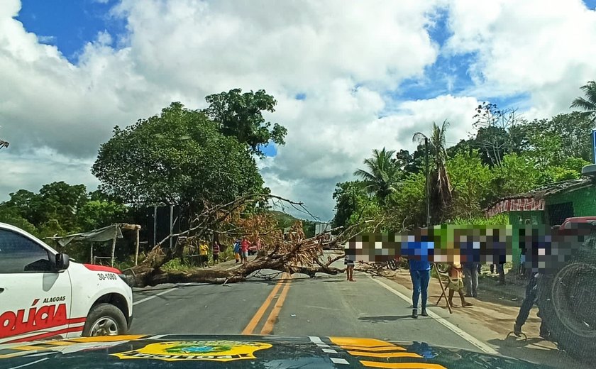 Moradores da comunidade indígena Wassu Cocal bloqueiam trecho da BR-101 em Joaquim Gomes