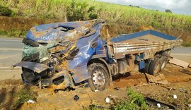 Caminhão com carga de ração tomba  em trecho da AL-215