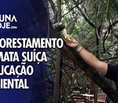Reflorestamento da Mata Suíça e educação ambiental