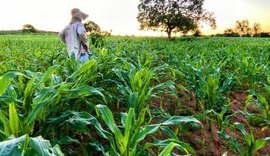 Governador encaminha à ALE projetos de lei que beneficiam a agricultura familiar