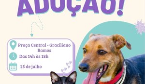 Focinho Responsável leva feira de adoção ao Conjunto Graciliano Ramos