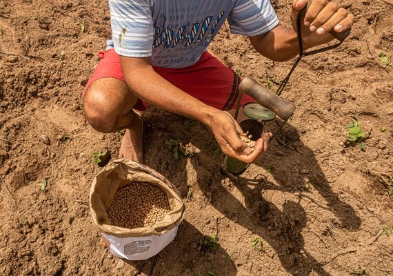 Produção de grãos no Nordeste deve crescer 8,6% em 2023