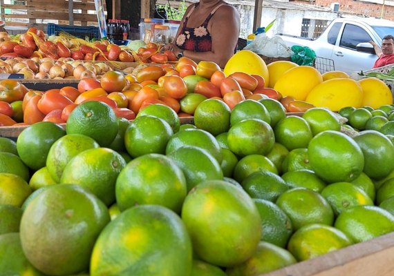 Dia do Empreendedorismo Feminino: mulheres se destacam com histórias de transformação e apoio de projeto social no Vergel