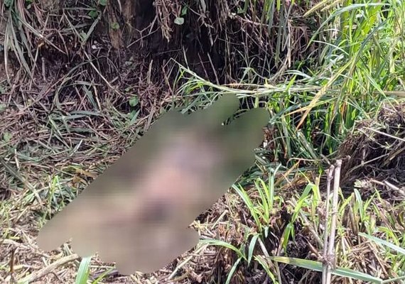 Corpo em avançado estado de decomposição é encontrado no Pilar