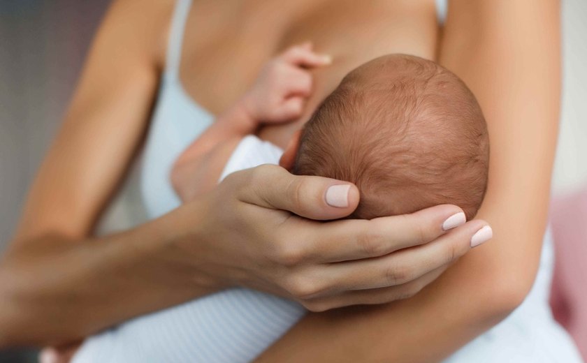 Mais de mil litros de leite humano foram disponibilizados para maternidades públicas de Maceió