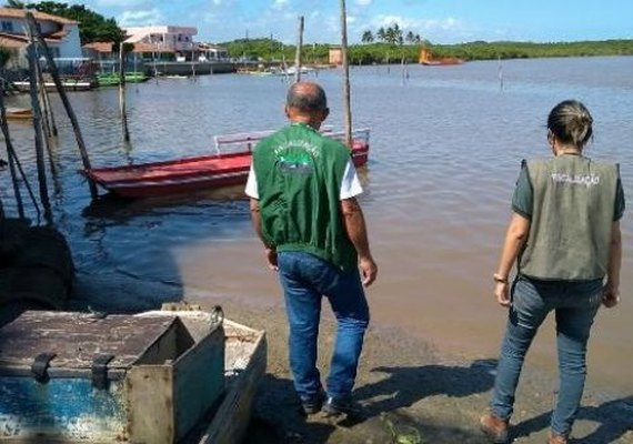 IMA investiga mortandade de peixes no município de Porto de Pedras