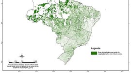 Área rural dedicada à vegetação nativa atinge 218 milhões de hectares