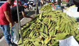 Estiagem faz Alagoas importar milho