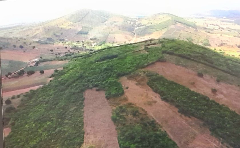 Mineradora não explorará ouro no Agreste de Alagoas