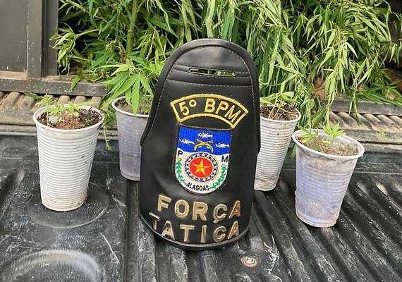 Pastores são presos suspeitos de cultivar plantação de maconha em igreja