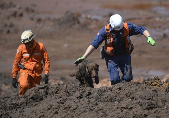 Sobe para 110 número de mortos em Brumadinho; 71 foram identificados
