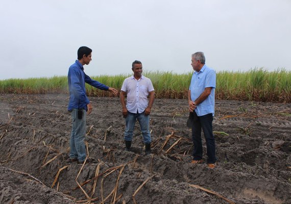 Plantio de inverno na Pindorama deve alcançar 2300 hectares
