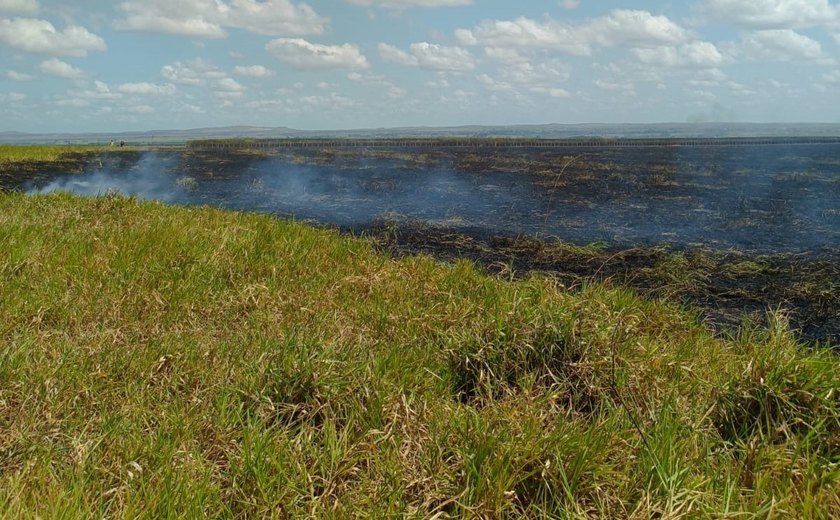 Incêndio atinge vegetação de fazenda em Limoeiro de Anadia