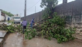 Defesa Civil de Coruripe atua com secretarias municipais no monitoramento e contenção dos danos causados pelas fortes chuvas