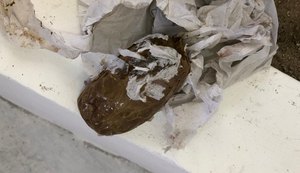 Mulher de 18 anos é detida ao tentar entrar com droga no presídio Cyridião Durval