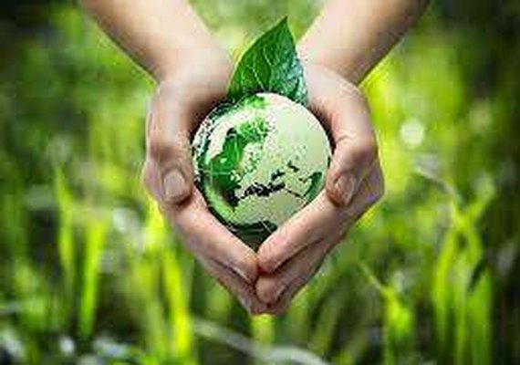 OCB lança manifesto e site em defesa da sustentabilidade