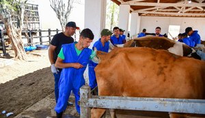 Agricultura capacita profissionais para atuarem na inseminação artificial de rebanho bovino