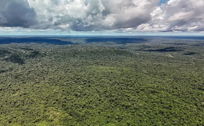 Fazenda autoriza crédito de US$ 1 bilhão do BID para Eco Invest Brasil