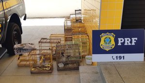 PRF prende dois homens durante o fim de semana em Alagoas