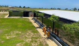 BNB apoia modernização e ampliação de mercados na apicultura alagoana