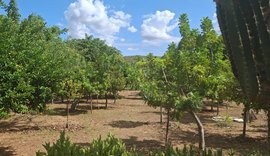 Técnicos do IMA visitam RPPNs selecionadas no Programa Estadual de Pagamento por Serviços Ambientais