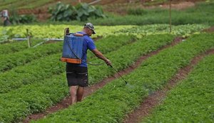 Comissão aprova projeto que flexibiliza uso de agrotóxico
