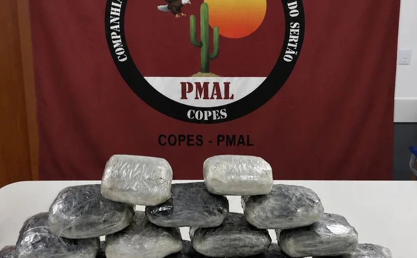 Homem é preso com quase 8 kg de maconha escondidos em Mercedes na BR-316