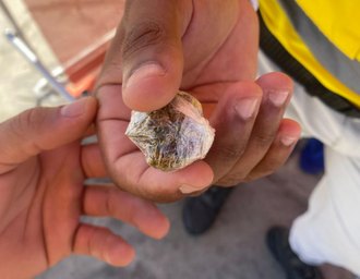 PM de Alagoas adota recomendação do MP sobre porte de cannabis para uso pessoal