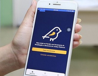 Aplicativo Pardal permite que eleitores denunciem propaganda irregular