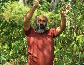 Secretário de Agricultura destaca geração de renda em produção agroecológica localizada em Maceió