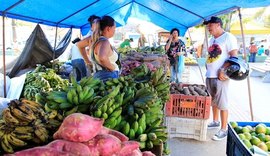 Feira Camponesa oferta 100 toneladas de alimentos