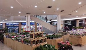 Shopping recebe festival com mais de 200 espécies de flores e plantas ornamentais