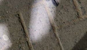 Secretário determina apuração sobre vacinação infantil antes de autorização da Anvisa