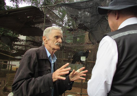 Ministério Público garante primeiros Mutuns-de-alagoas para soltura por meio do 'Projeto 50 Casais'