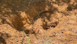 Corpo é encontrado no Litoral Norte; vítima usava peça com referência a Harry Potter