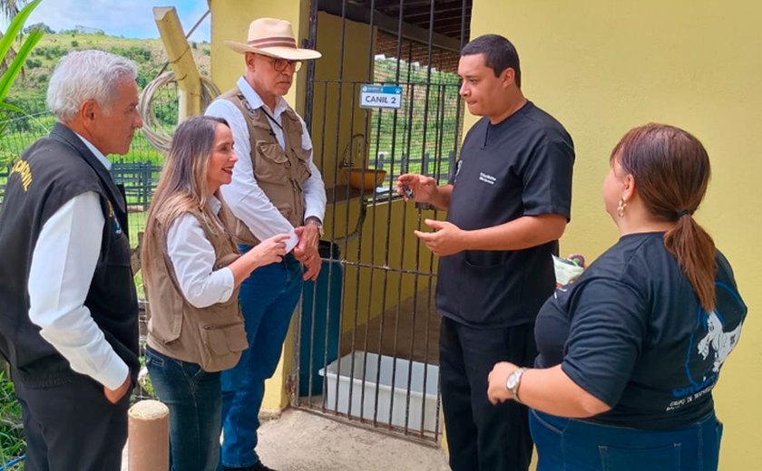 Canis e gatis em Viçosa marcam avanço do Programa de Apoio aos Animais