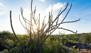 Ações da Sedetur beneficiam desenvolvimento e turismo no Alto Sertão