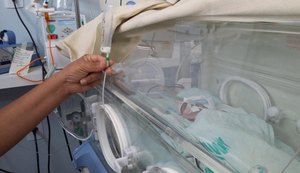 Santa Mônica comemora a Semana de Doação de Leite Materno com ações internas e externa