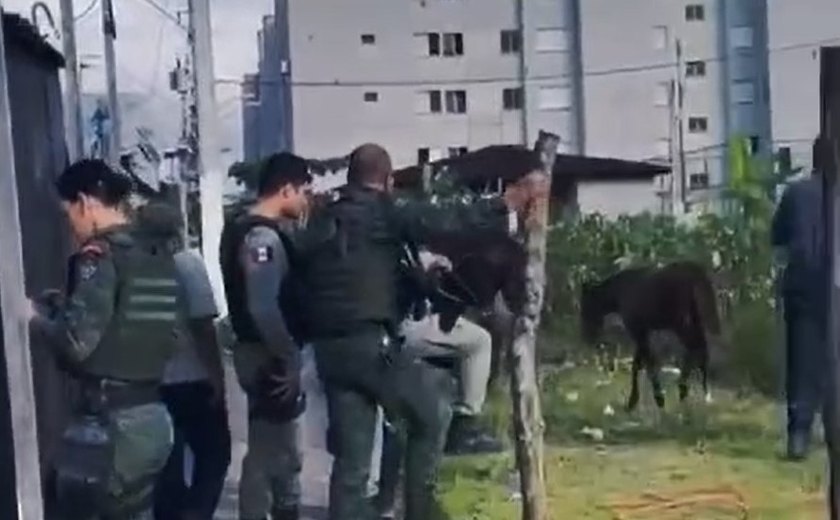 Cavalo que sofria maus tratos em Maceió é resgatado