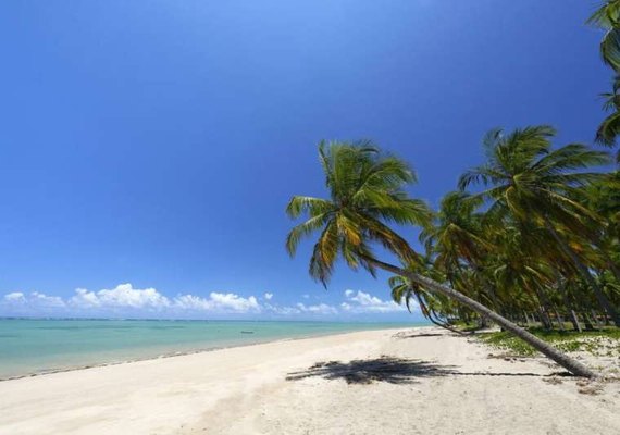 Pure Beach: Inscrições para torneio de tênis mais sustentável seguem abertas em Alagoas