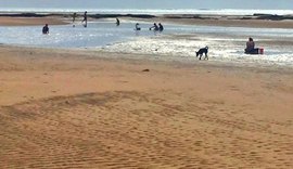 Festival da mariscada começa nesta sexta (22) em São Bento