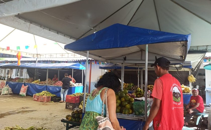 Programação cultural recheada e comida sem veneno, Feira Agroecológica Novo Jardim está de volta