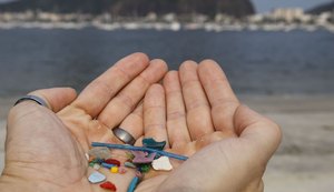 Pesquisas indicam ingestão de microplásticos por humanos