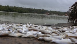 Mortandade de peixes no complexo lagunar Mundaú-Manguaba é tema de sessão especial