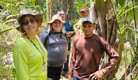 Embrapa mapeia serviços ambientais de assentamento em área de babaçu no Maranhão