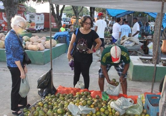 Prejuízos da seca prolongada ainda são observados em Alagoas